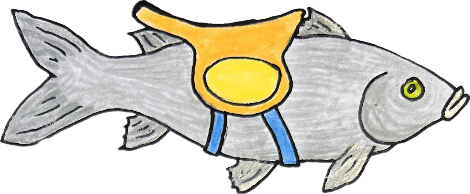 fish