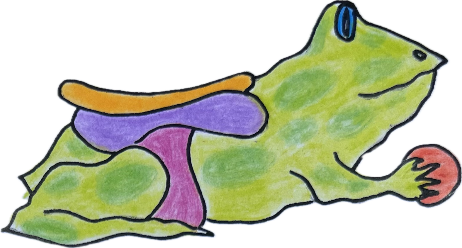 frog