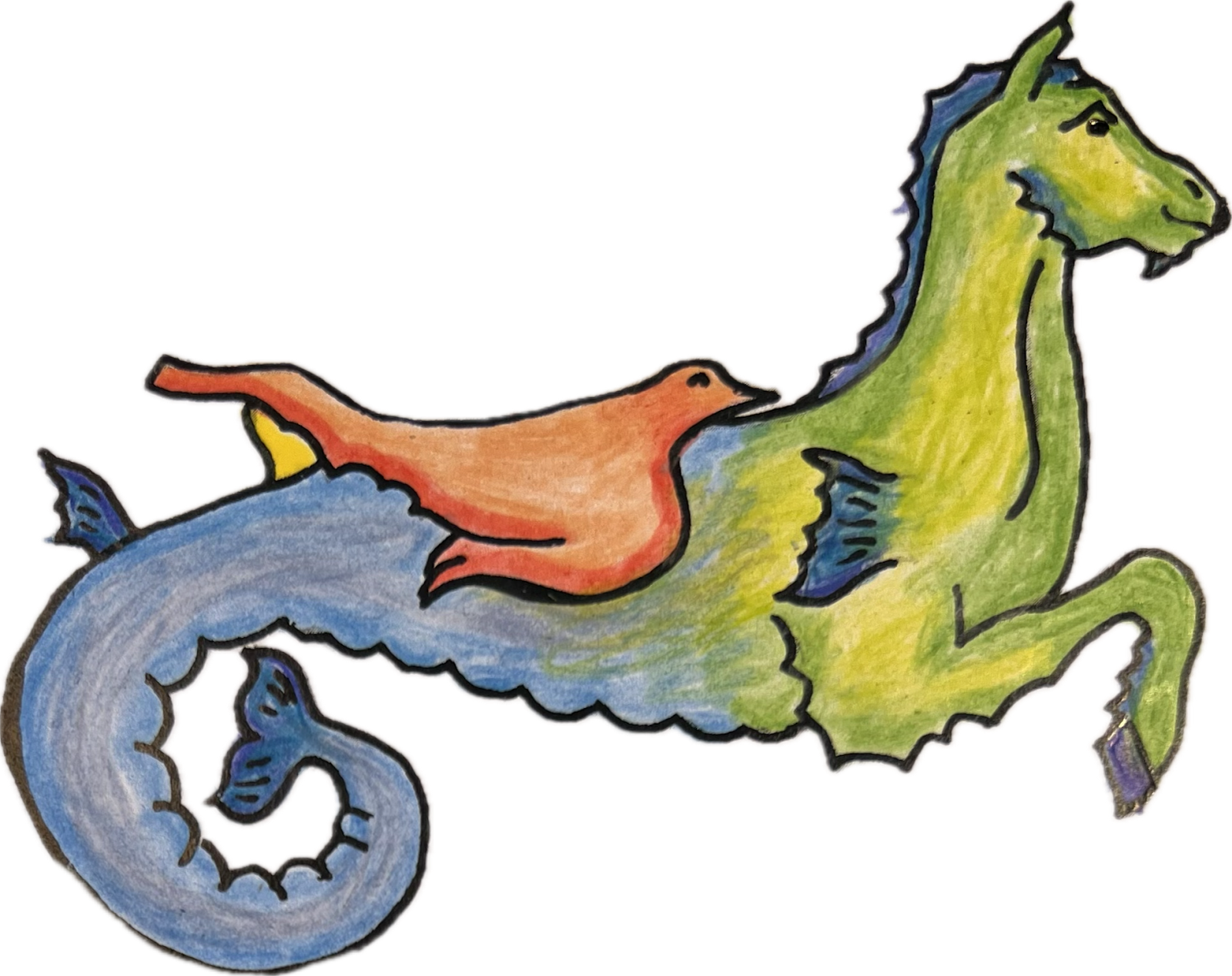 hippocampus