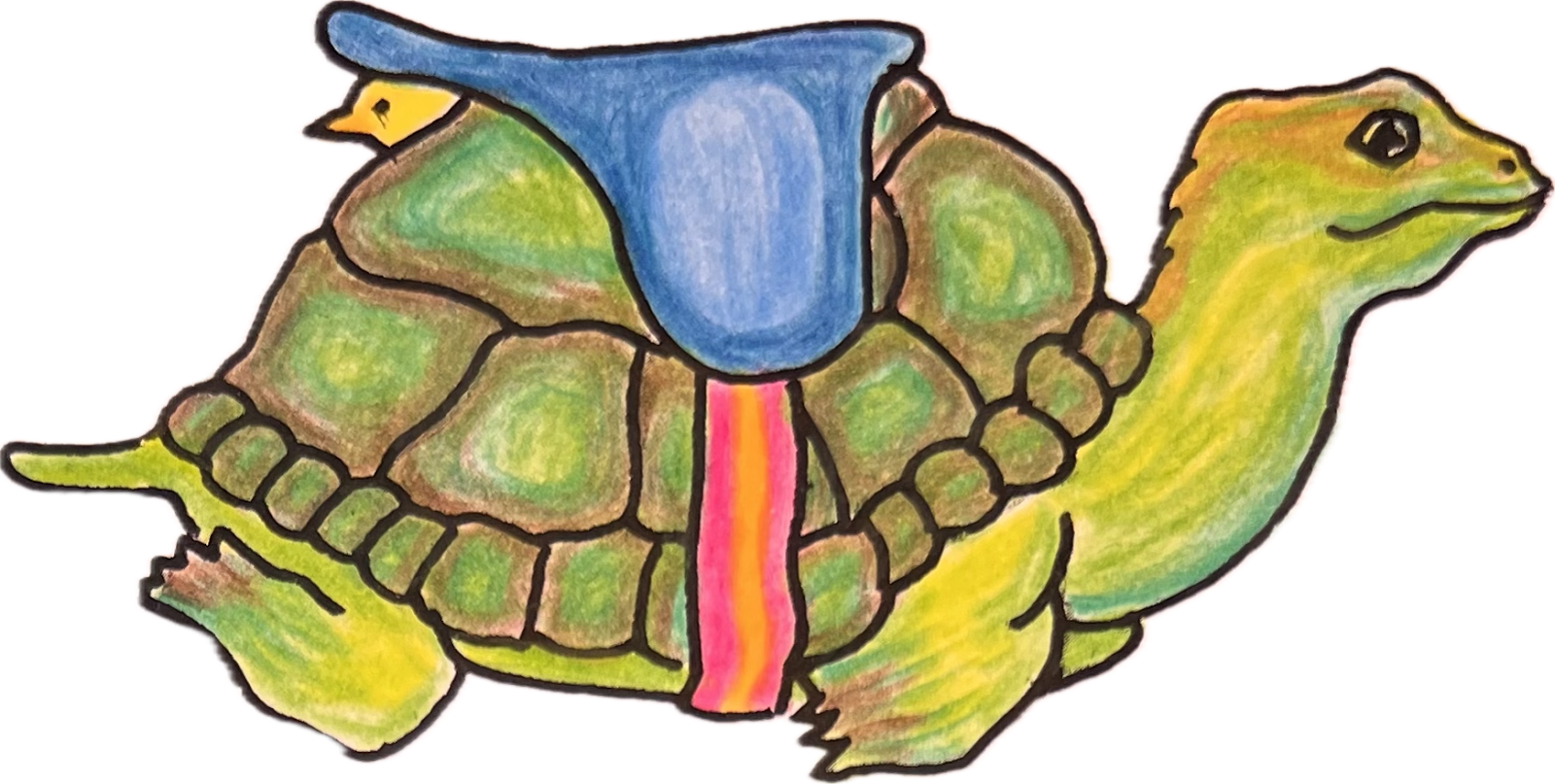 turtle